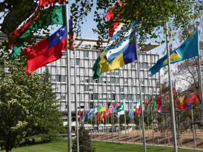 WHO flags