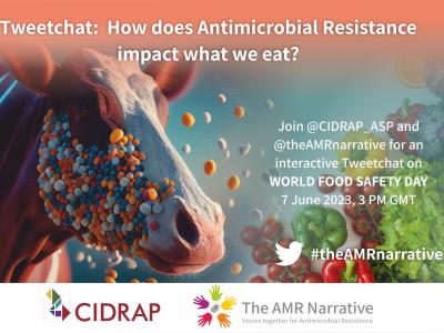 A photo of a cow's face with bacteria covering the cheek next to a photo of vegetables (a green, red, and yellow pepper, tomatoes, lettuce, and an orange slice) and text that reads Tweetchat: How does Antimicrobial Resistance impact what we eat? Join @CIDRAP_ASP and @theAMRnarrative for an interactive Tweetchat on WORLD FOOD SAFETY DAY 7 June 2023, 3 PM GMT #theAMRnarrative