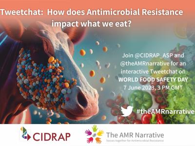 A photo of a cow's face with bacteria covering the cheek next to a photo of vegetables (a green, red, and yellow pepper, tomatoes, lettuce, and an orange slice) and text that reads Tweetchat: How does Antimicrobial Resistance impact what we eat? Join @CIDRAP_ASP and @theAMRnarrative for an interactive Tweetchat on WORLD FOOD SAFETY DAY 7 June 2023, 3 PM GMT #theAMRnarrative