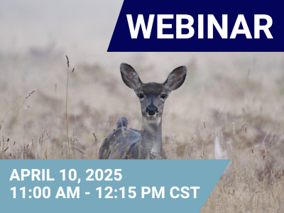 Webinar Icon with Date and Time