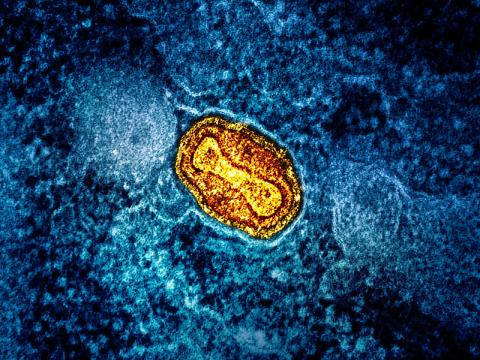 mpox cell