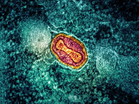 mpox virus 
