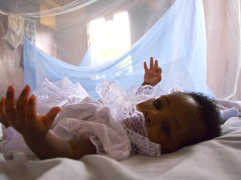 mosquito net