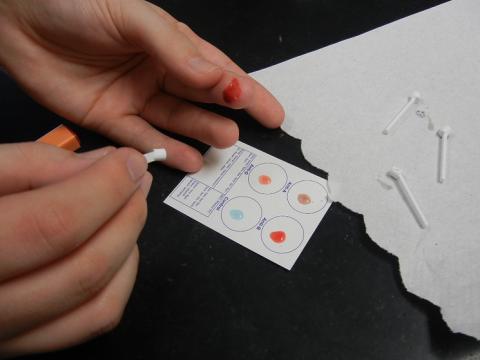 blood type testing