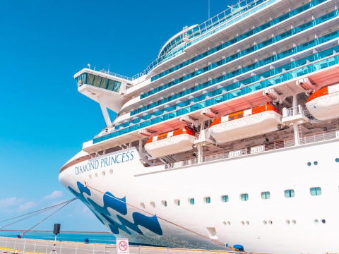 Diamond Princess cruise ship