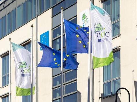 ECDC flags