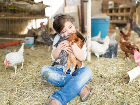 Girl hugging chickens