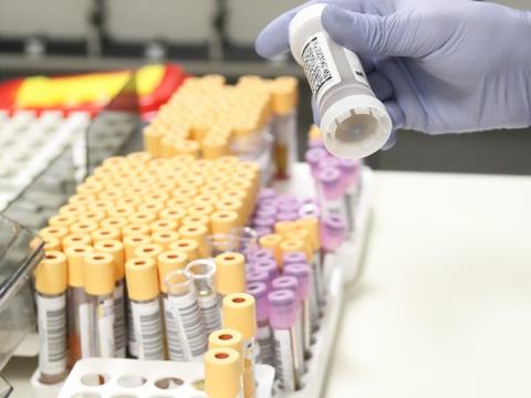diagnostic testing