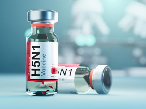 H5N1 vaccine