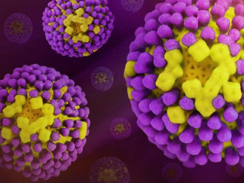 Flu virus surface proteins