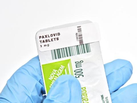 paxlovid