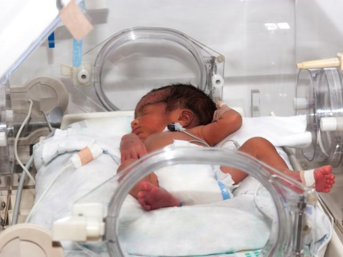Premature baby in NICU