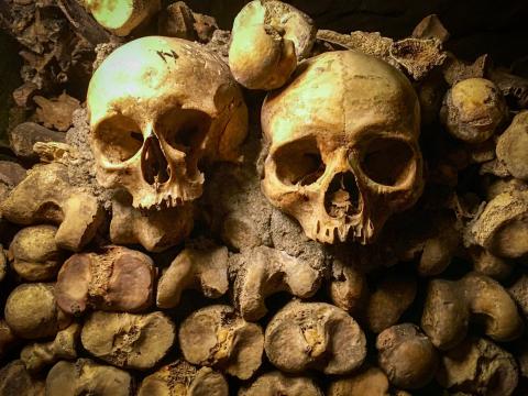 Two skulls