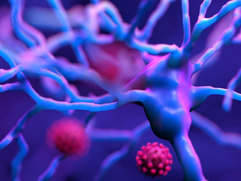 Synapse and COVID