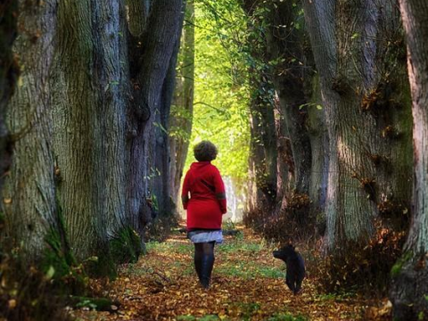 Woman walking with dog in woods