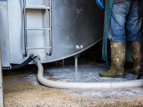 bulk milk tank