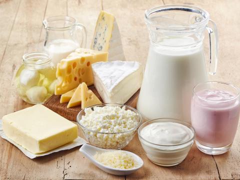 dairy products