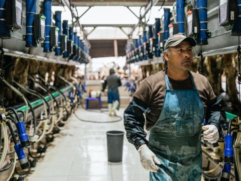 dairy workers