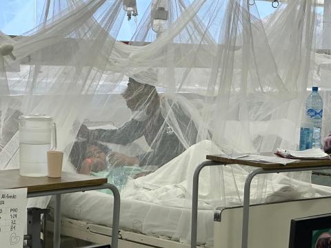 dengue patient
