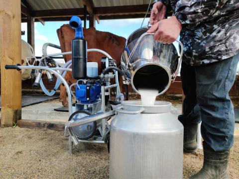 farmer pouring milk