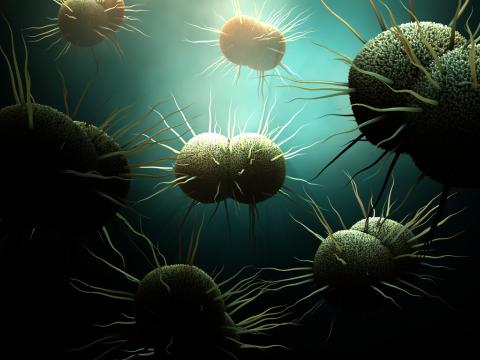 Gonorrhea bacteria illustration
