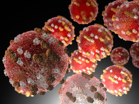Measles virus illustration
