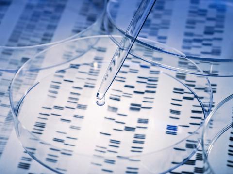 Whole genome sequencing