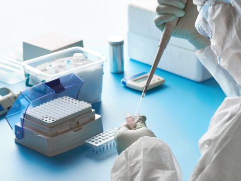 pcr testing
