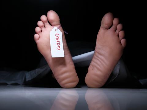 covid 19 deaths 