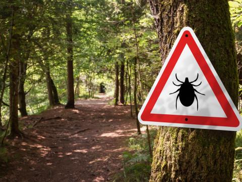 tick sign