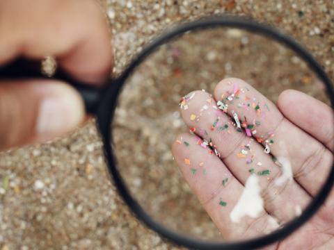 Microplastics under a microscope