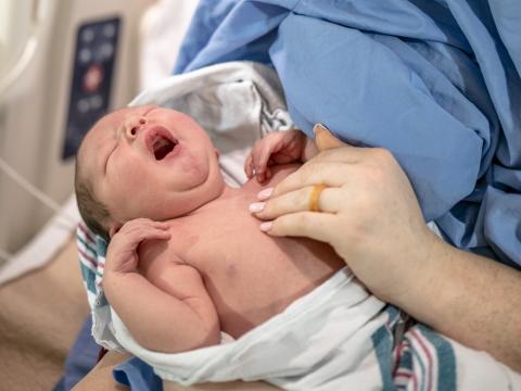 newborn