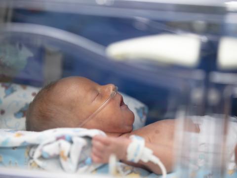 Newborn in hospital