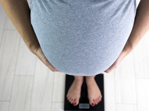 pregnancy