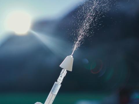 intranasal application