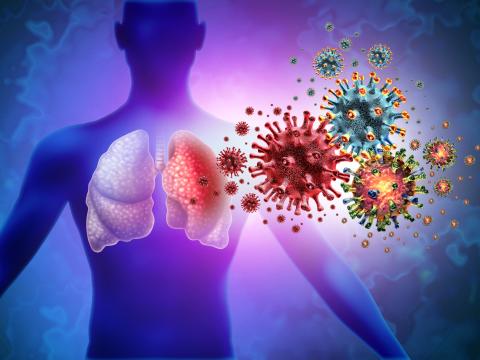 flu system