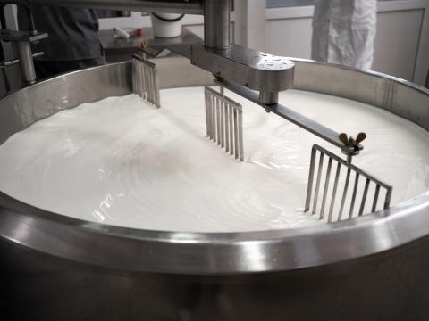 dairy 
