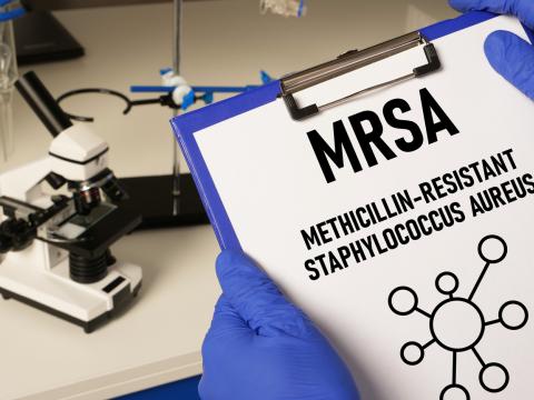 MRSA under the microscope