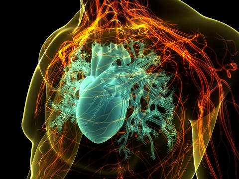 heart pic