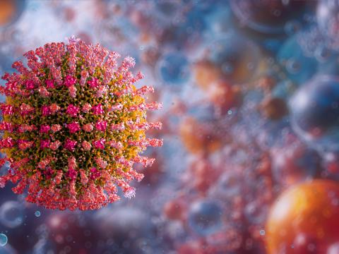 Measles virus illustration