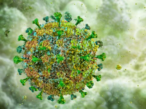 Lassa virus illustration