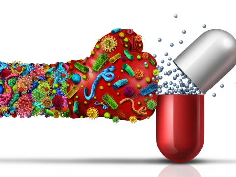 Bacteria punching antibiotics