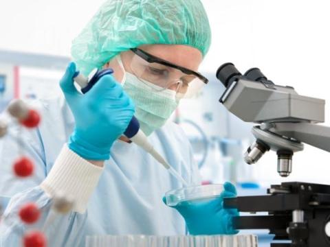 Lab scientist