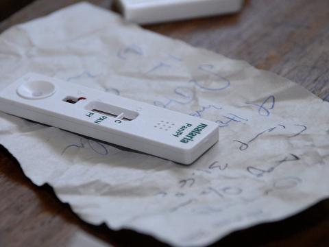 malaria rapid test
