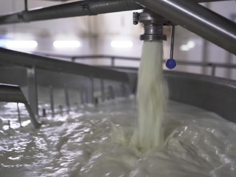 milk tank