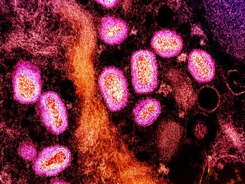 mpox purple orange