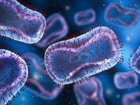 mpox viruses