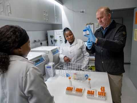 Scientists in lab looking at TB sputum samples