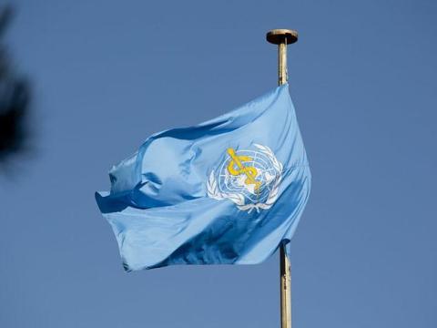 WHO flag