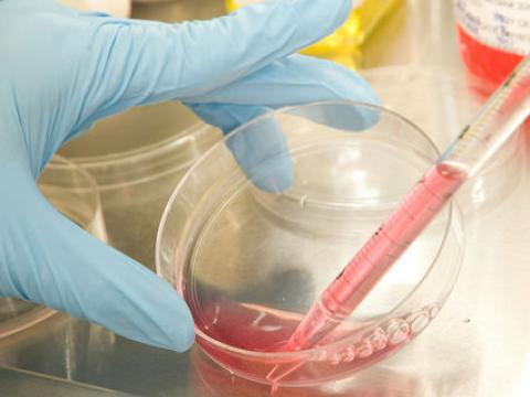 Antibiotic research